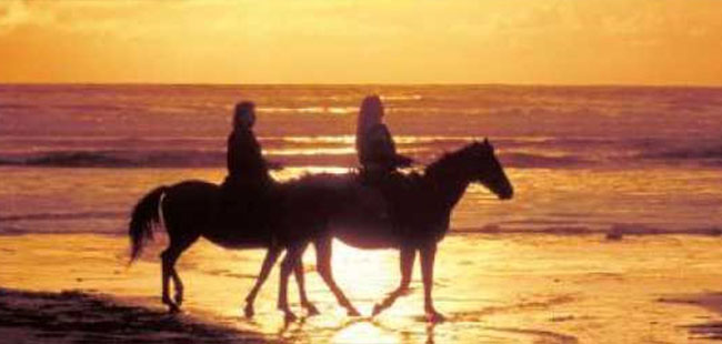 Sunset Beach Ride