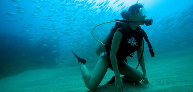 Discover Scuba Diving