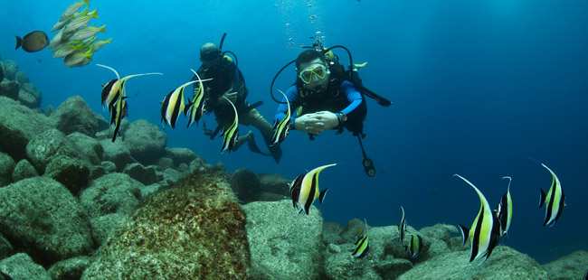 PADI Open Water Course