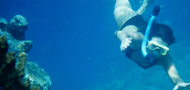 Snorkeling Cabo Pulmo