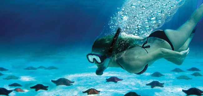 Express Snorkel & Beach Break