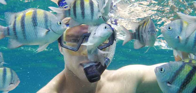 Cozumel Electric Bike And Barrier Reef Snorkel