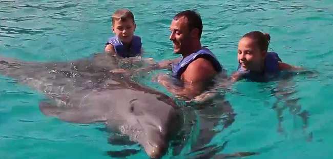 Dolphin Extreme Underwater Dolphin Swim