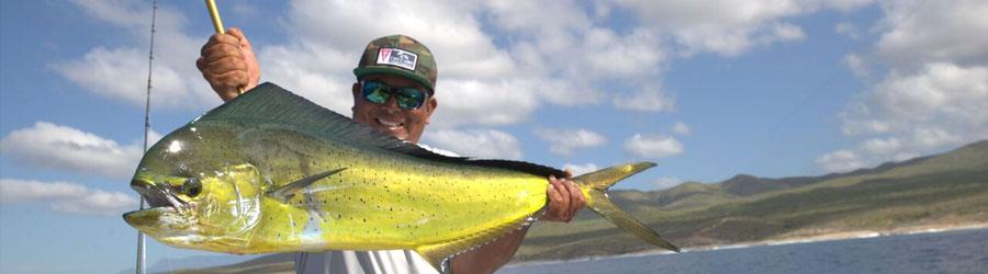 28' Marlin Hunter 2