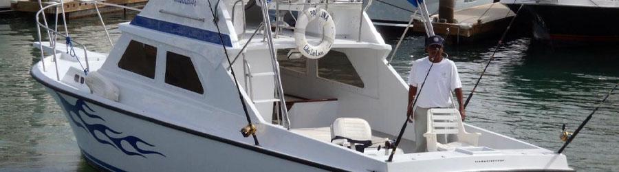 31' California 6