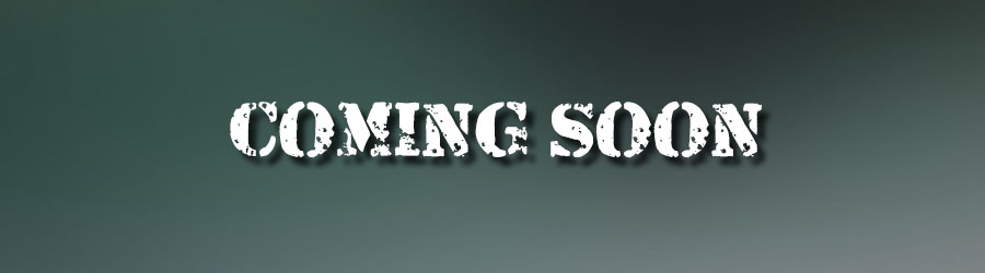 Shared Airport Transfers 7