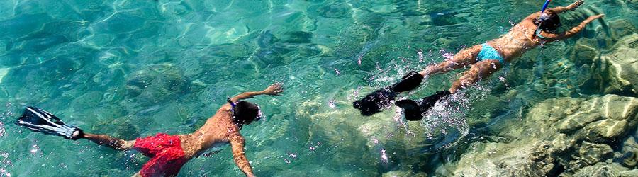 Cabo Escape Snorkel & Chileno Bay Cruise 4