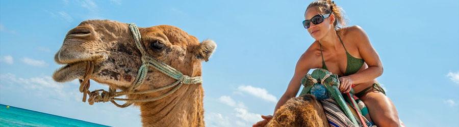 4x4 Outback Safari & Camel Ride Cabo 1