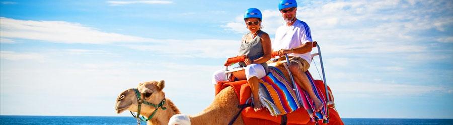 4x4 Outback Safari & Camel Ride Cabo 3