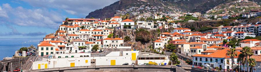 Deluxe Los Cabos City & Shopping Tour 5