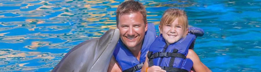 Cabo Dolphin Encounter – Family Dolphin Swim 5