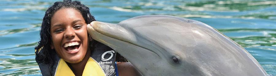 Cabo Dolphin Swim 5