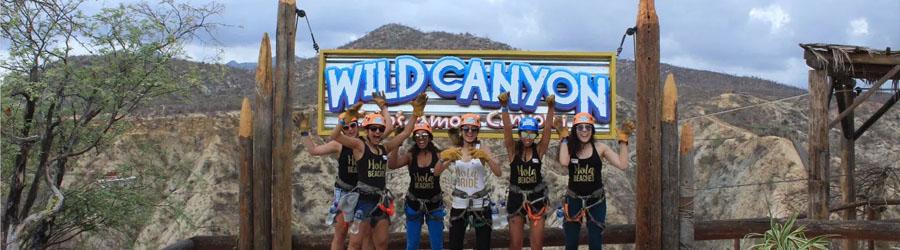 Los Cabos Monster Zip Lines & Dolphin Swim Encounter 1