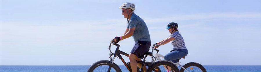 Electric Beach Bike 3