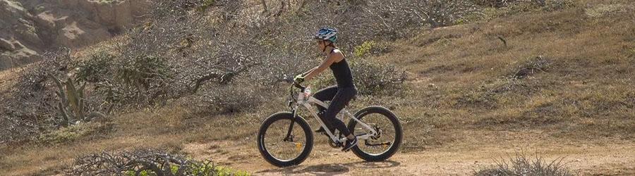 Electric Beach Bike 8