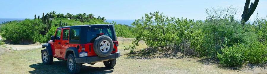 Private Baja Off-road Desert and Canyon Jeep Tour 8