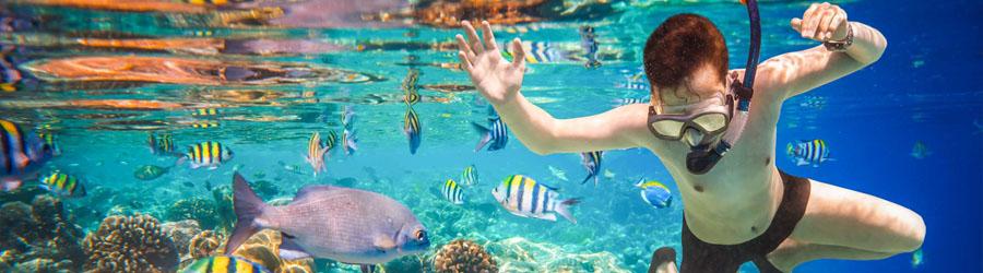 Cabo Jungle Cruise Party Boat Snorkeling Tour 7