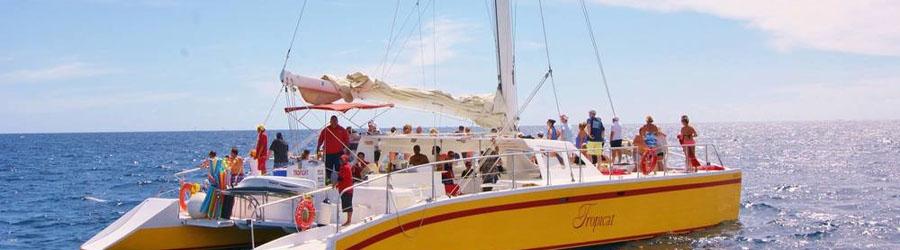 Private Sea of Cortez 65’ Catamaran Custom Charter 7