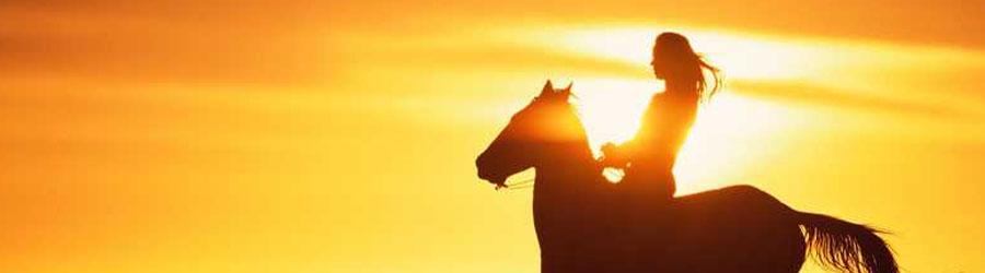 Sundown Baja Polaris RZR & Horseback Riding Tour 1