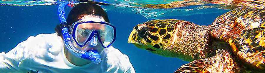 >Ultimate Cozumel Snorkeling & Beach Break 7