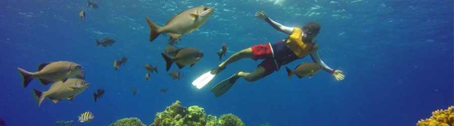 >Ultimate Cozumel Snorkeling & Beach Break 8