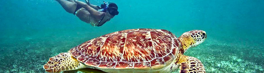 Cozumel West Coast Bike Ride & Snorkel Adventure 2