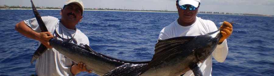 Cozumel Bottom Fishing Excursion 8