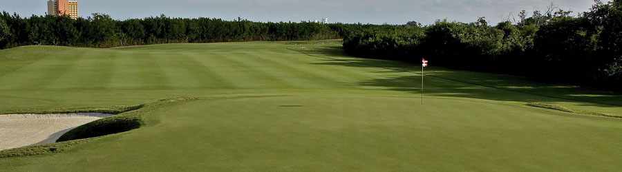Cozumel Dolphin Encounter 6