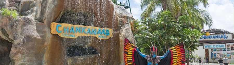 Discover Mexico & Chankanaab Beach 3