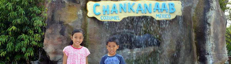 Discover Mexico & Chankanaab Beach 8