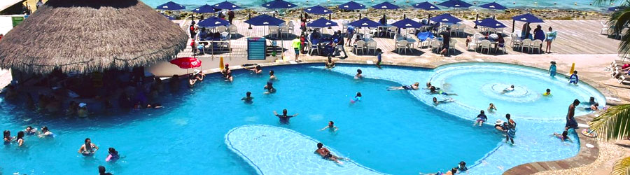 Dive With Dolphins in Cozumel 4