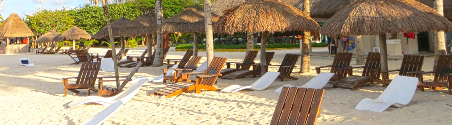 Dive With Dolphins in Cozumel 8