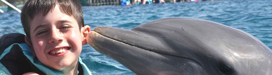 Cozumel Dolphin Encounter 3