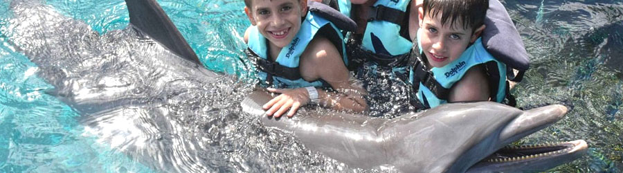 Cozumel Dolphin Encounter 4
