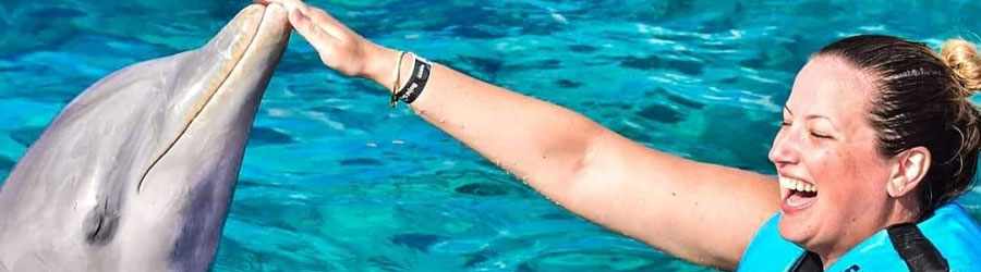 Cozumel Dolphin Swim Adventure 8