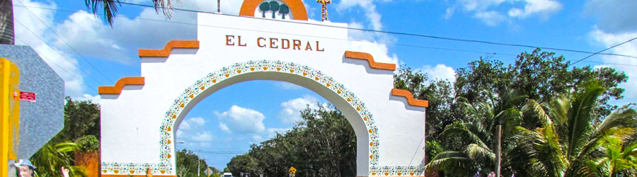 Cozumel Dune Buggy Adventure 8