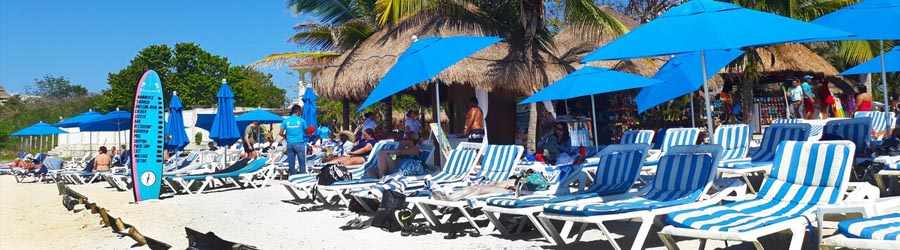 Las Uvas & Discover Mexico Combo 1