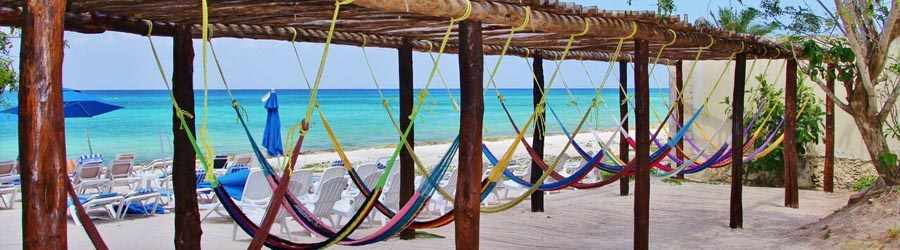 Las Uvas & Discover Mexico Combo 3