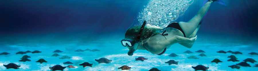 Cozumel 3 Reef Snorkel Express & Beach Break 6