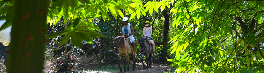 Jungle Trails Horseback Riding in Cozumel 2