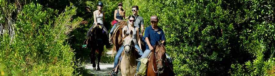 Jungle Trails Horseback Riding in Cozumel 3