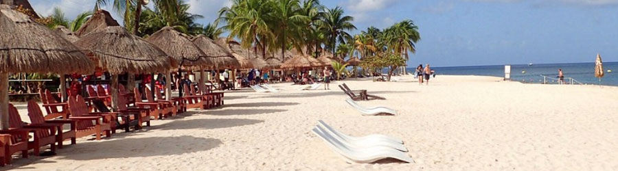 Manatee Encounter Cozumel 8