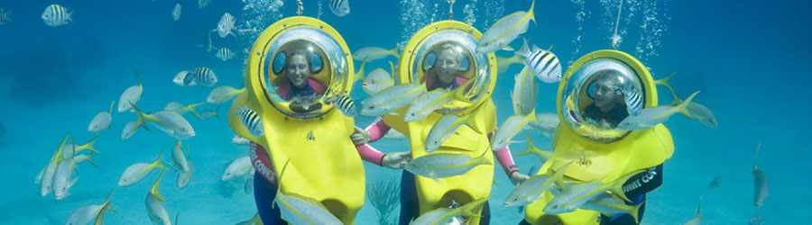 Cozumel Mini Submarine Adventure 3