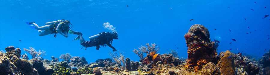 PADI Open Water Certification 2
