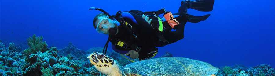 PADI Open Water Certification 5