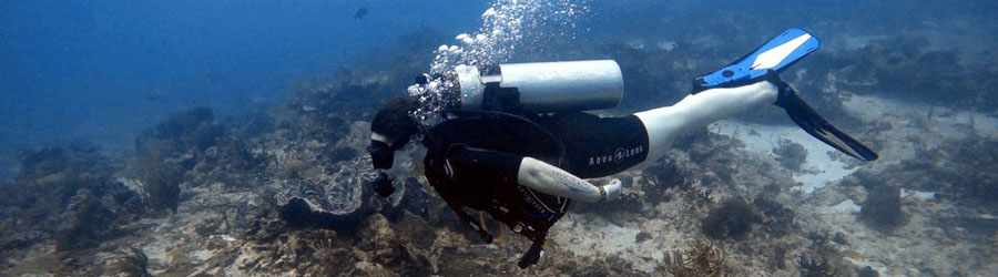 PADI Open Water Certification 7