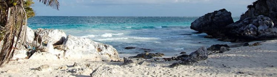 Riviera Maya Private Driver Service From Cozumel 2