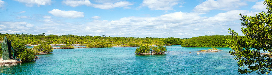 Cozumel Private Tulum + Yal Ku Lagoon 7