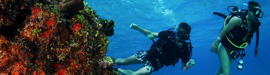 PADI Open Water Referral Course 8
