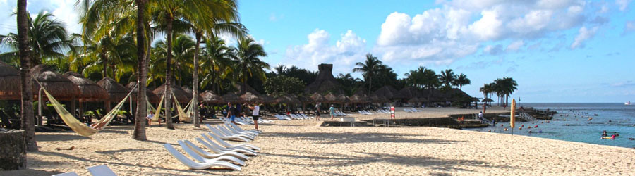 Royal Dolphin Swim Cozumel 4